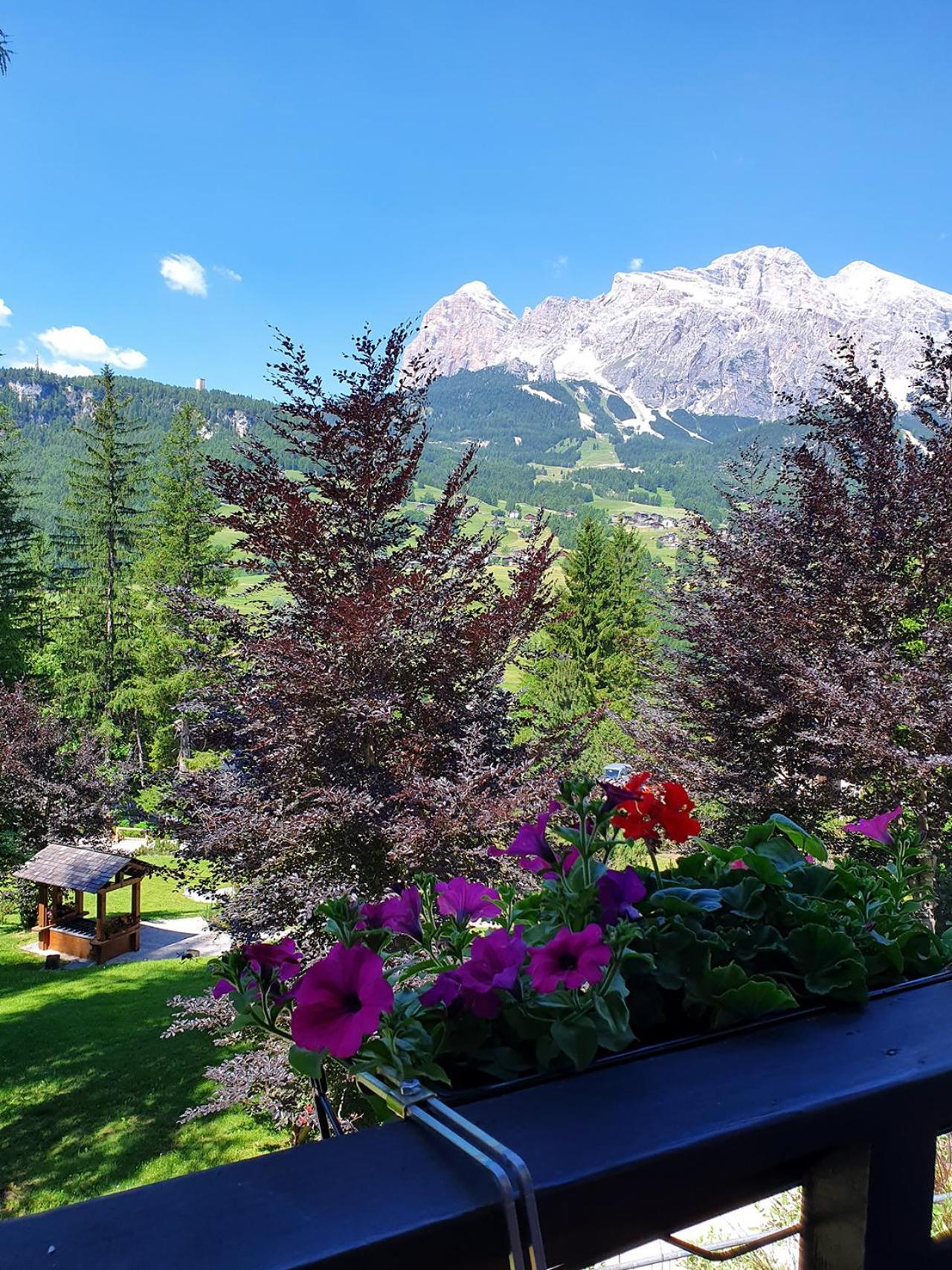 B&B Cristallo Cortina d'Ampezzo Luaran gambar